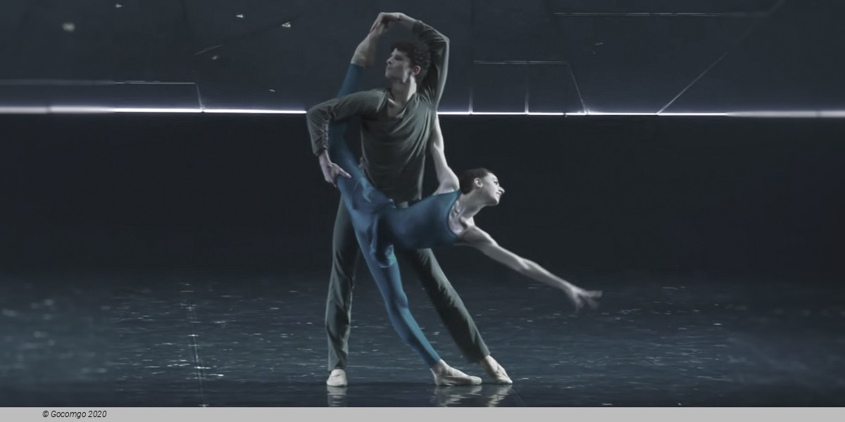 The Seagull. A Ballet Story, photo 9