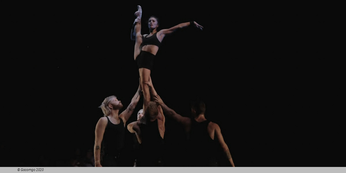 Duel Reality, photo 6