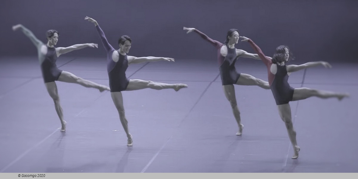 Modern Ballet Series, photo 1