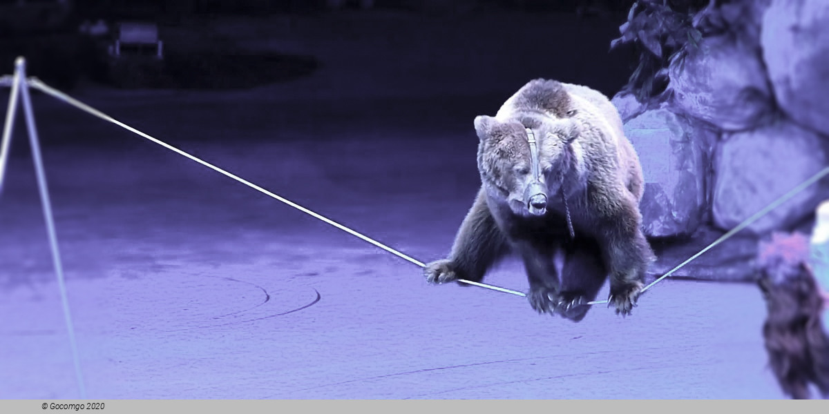 Chimelong International Circus Show, photo 9