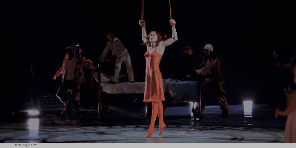 The Beatles LOVE by Cirque du Solei, photo 9