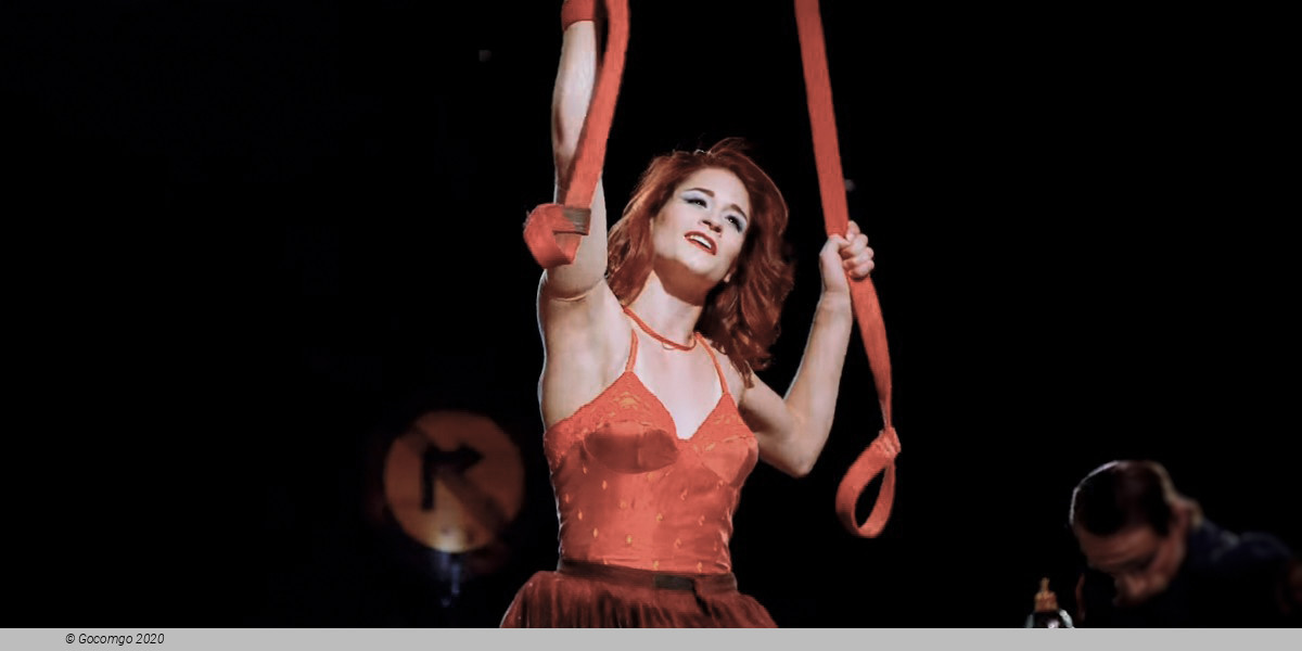 The Beatles LOVE by Cirque du Solei, photo 12