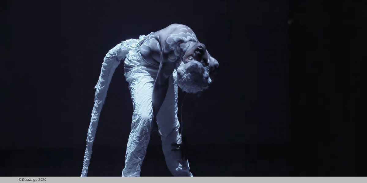 Cirque du Soleil - ECHO, photo 7