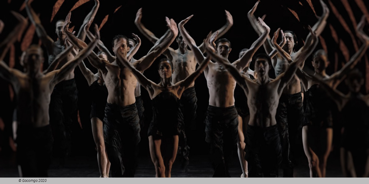 An evening of modern ballets "Autographs": Emergence. Infra. In the Middle, Somewhat Elevated