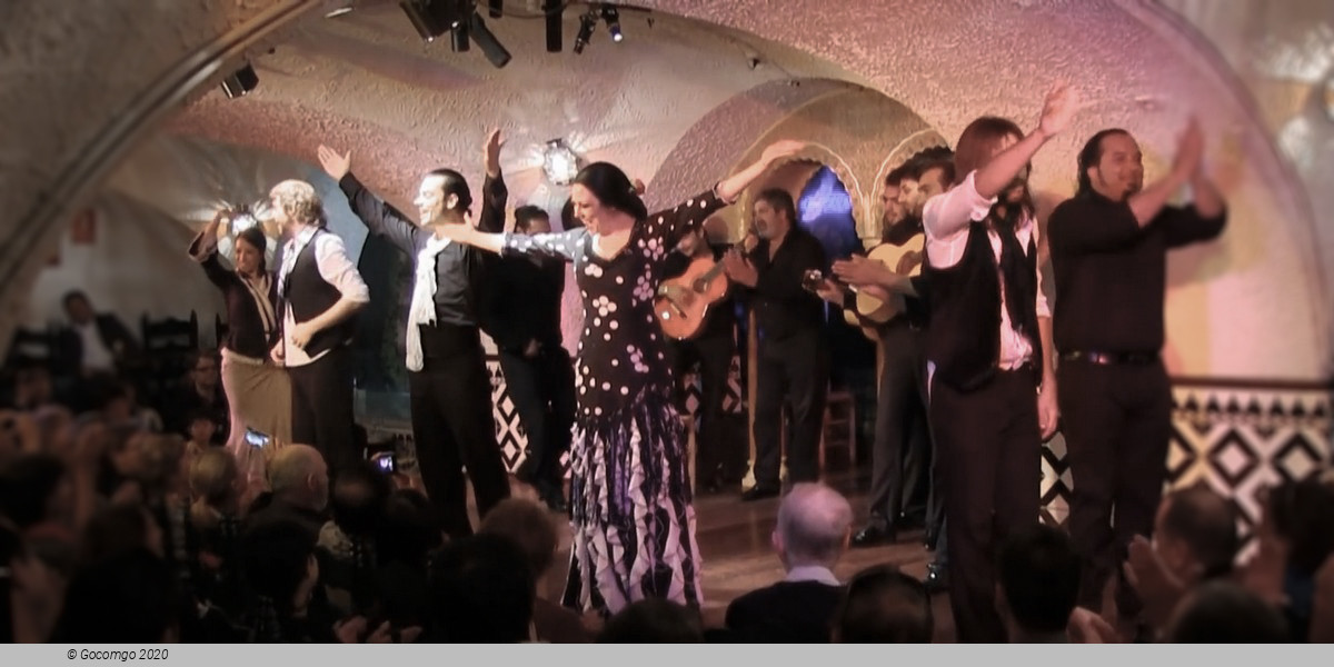 Flamenco in Barcelona Show, photo 8