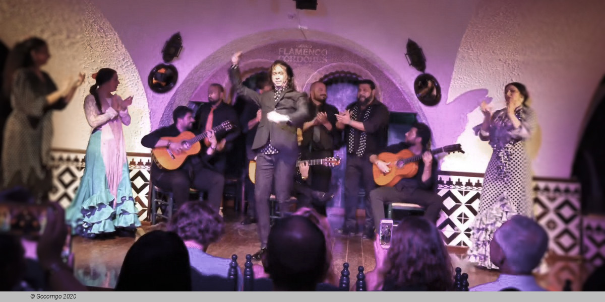 Flamenco in Barcelona Show