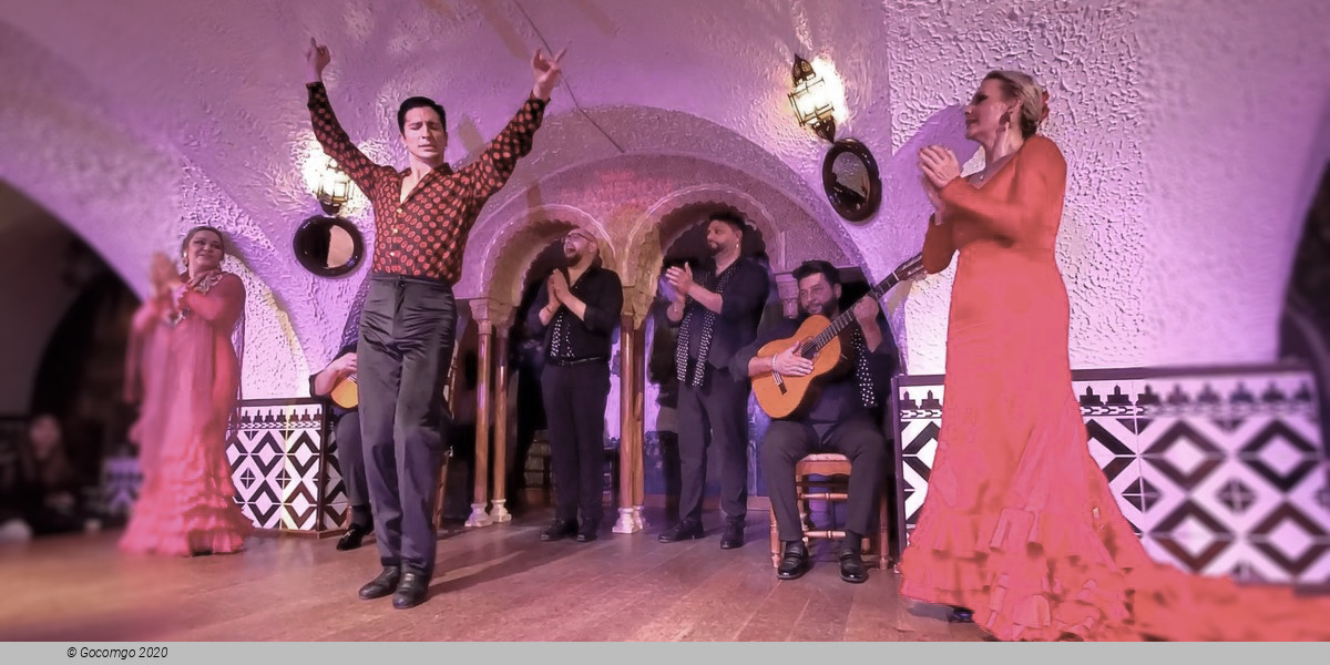 Flamenco in Barcelona Show