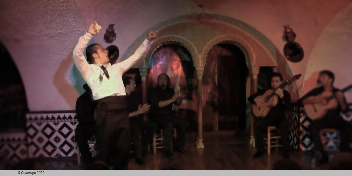 Flamenco in Barcelona Show - New Year' s Eve Gala, photo 4