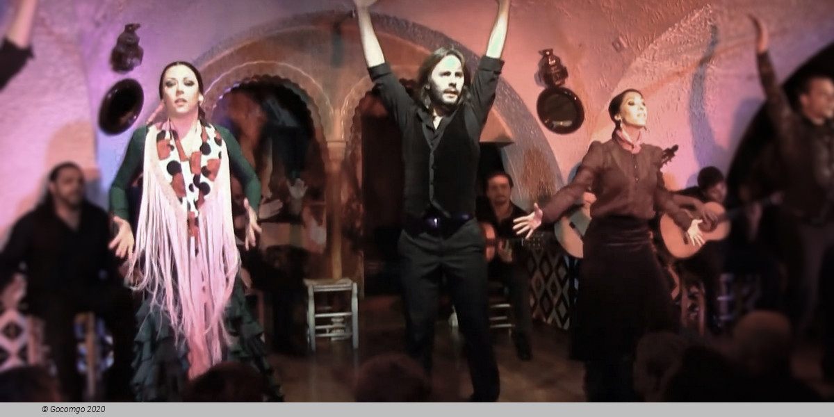 Flamenco in Barcelona Show - New Year' s Eve Gala