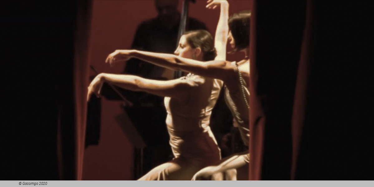 Piazzolla Tango, photo 13