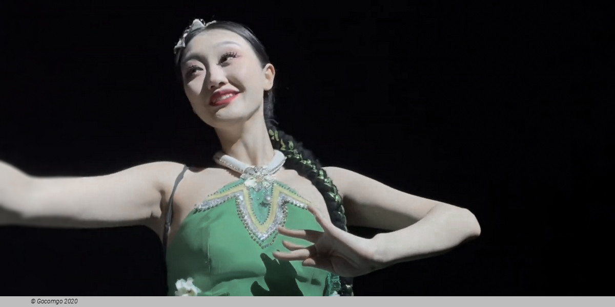 Lengend of Song Dynasty Show