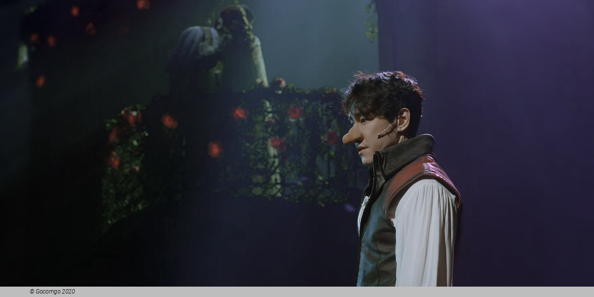 Musical "Cyrano", photo 1