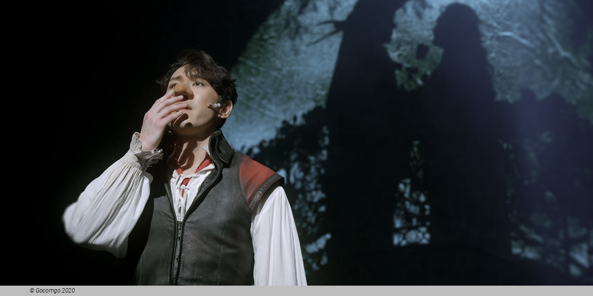 Musical "Cyrano", photo 2
