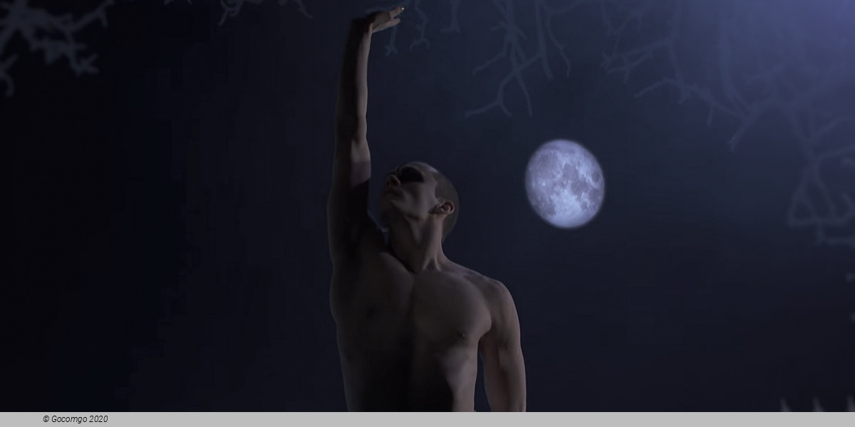 Matthew Bourne's "Swan Lake": The Next Generation, photo 2