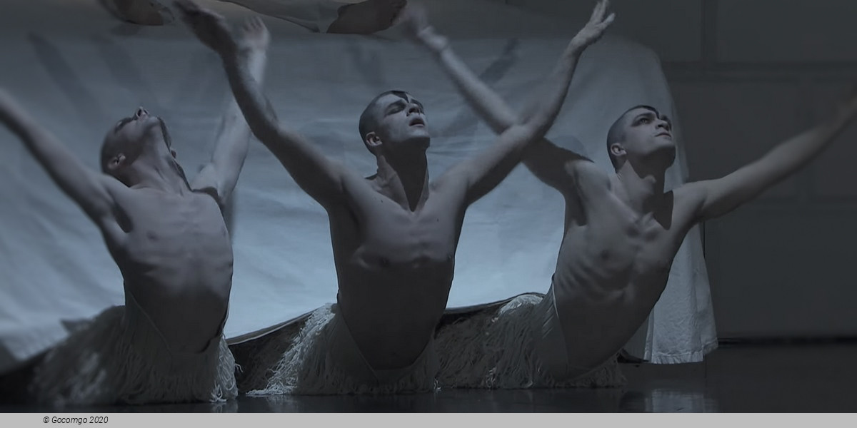 Matthew Bourne's "Swan Lake": The Next Generation, photo 9