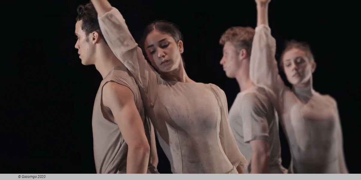 Jocasta’s Line: Oedipus Rex. Antigone