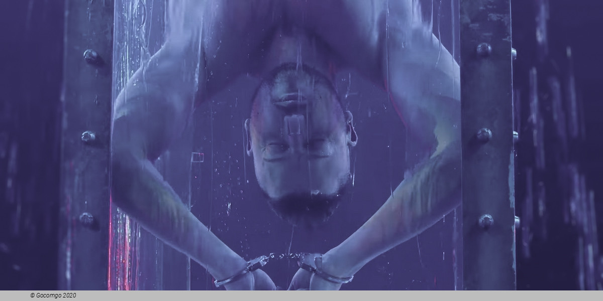 Now You See Me Live, photo 7