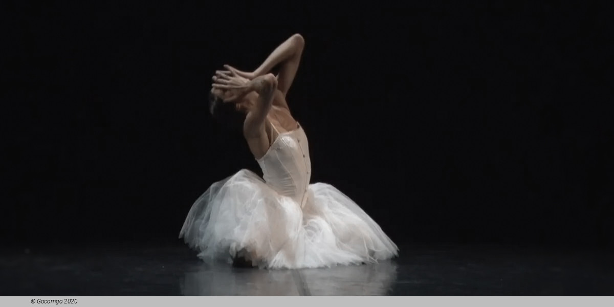 Red Giselle. Boris Eifman Ballet presents, photo 1