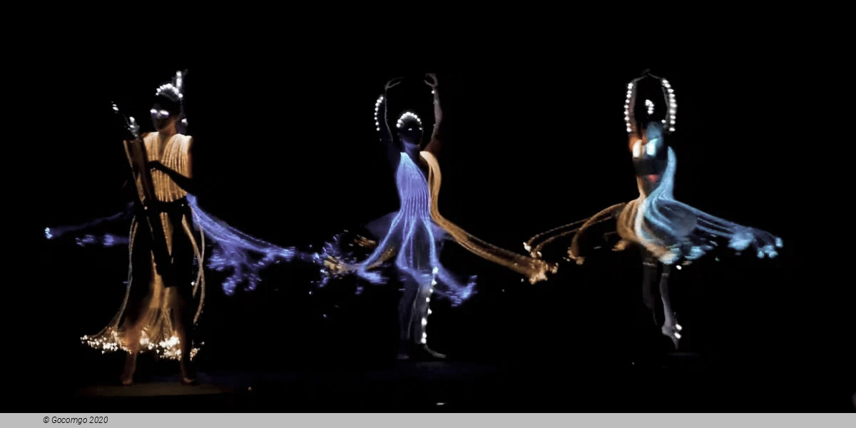 Ballet of Lights: Sleeping Beauty in a dazzling spectacle, photo 1