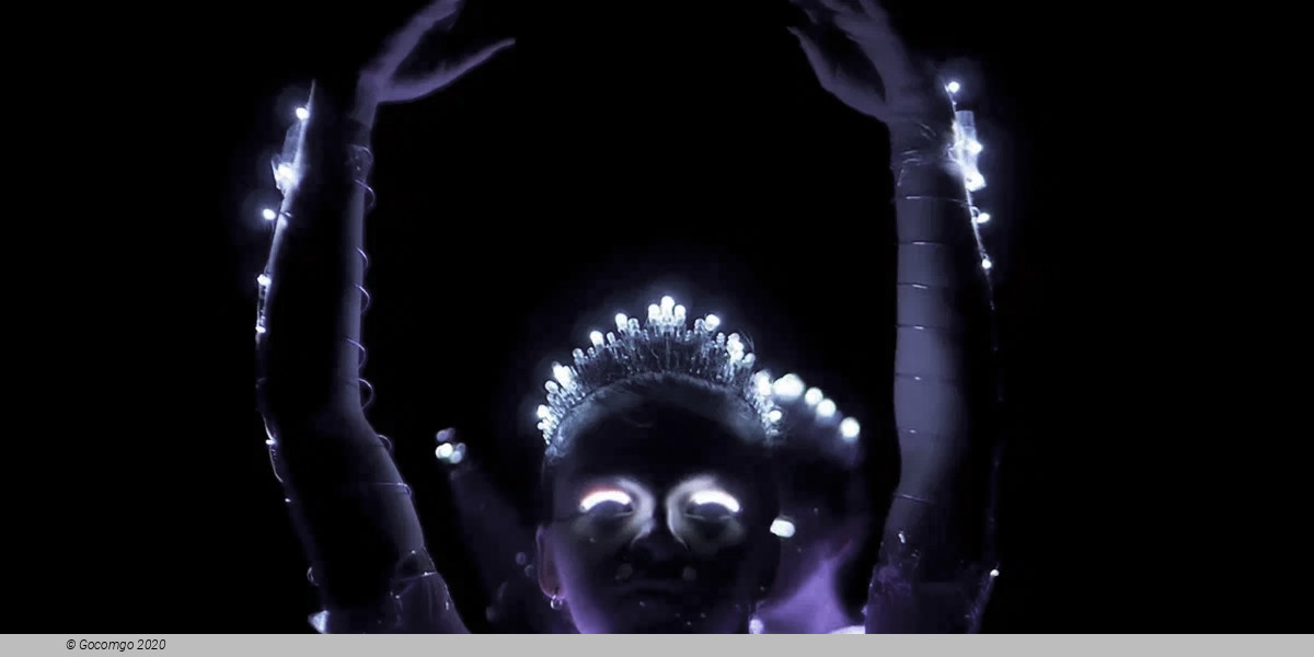 Ballet of Lights: Sleeping Beauty in a dazzling spectacle, photo 5