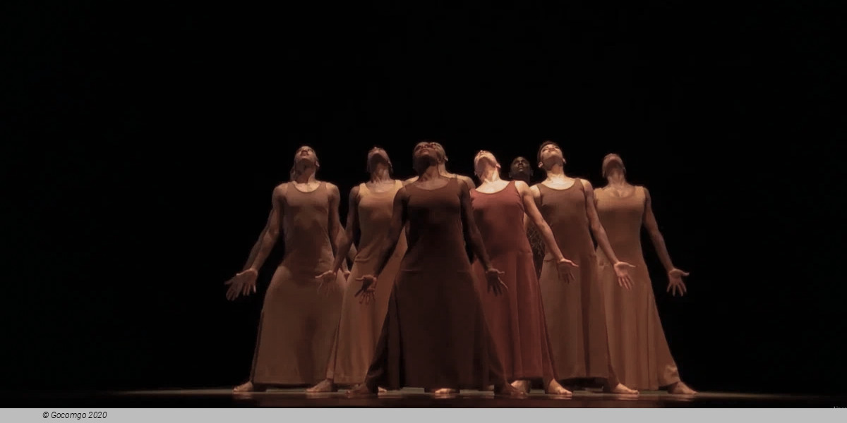 Revelations, photo 10