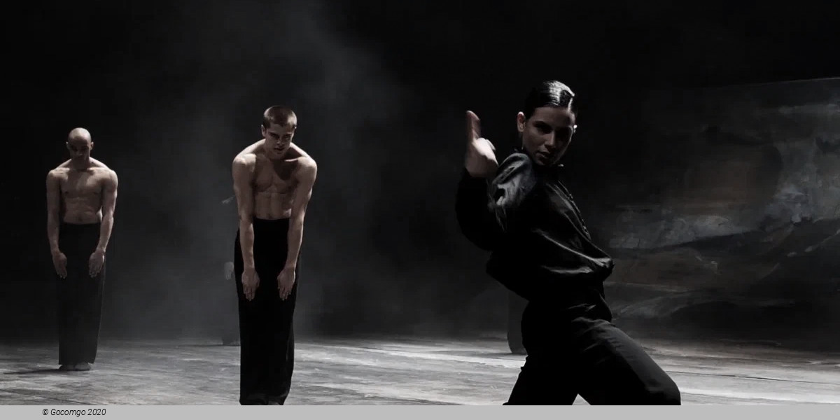 Der Liebhaber by Marco Goecke, photo 3