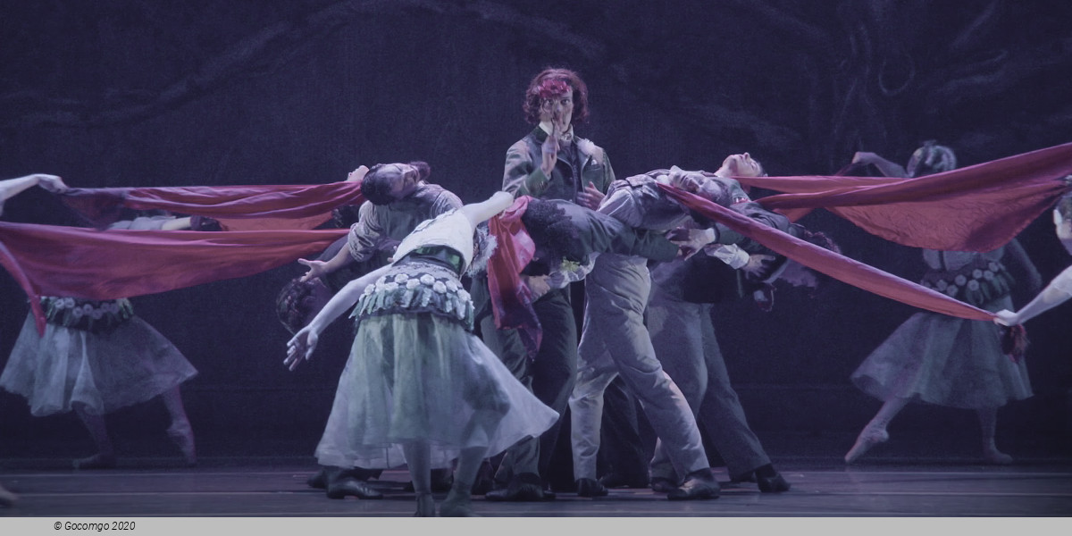 The Australian Ballet: Oscar, photo 1
