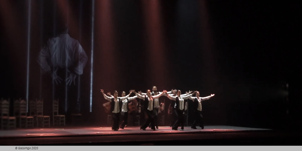 Sara Baras Flamenco Ballet Company Gala Vuela
