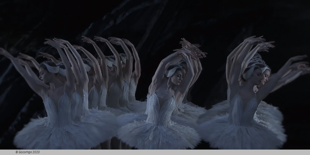 Swan Lake, photo 1