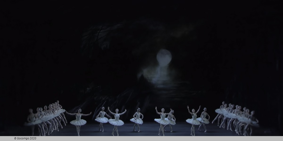 Swan Lake, photo 5