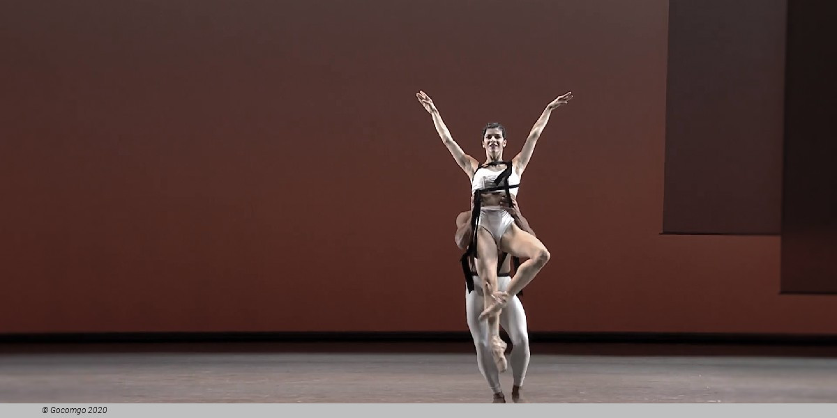 Live Fire Exercise / Prodigal Son / Corybantic Games, photo 3