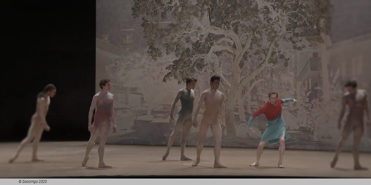 The Dante Project, photo 7