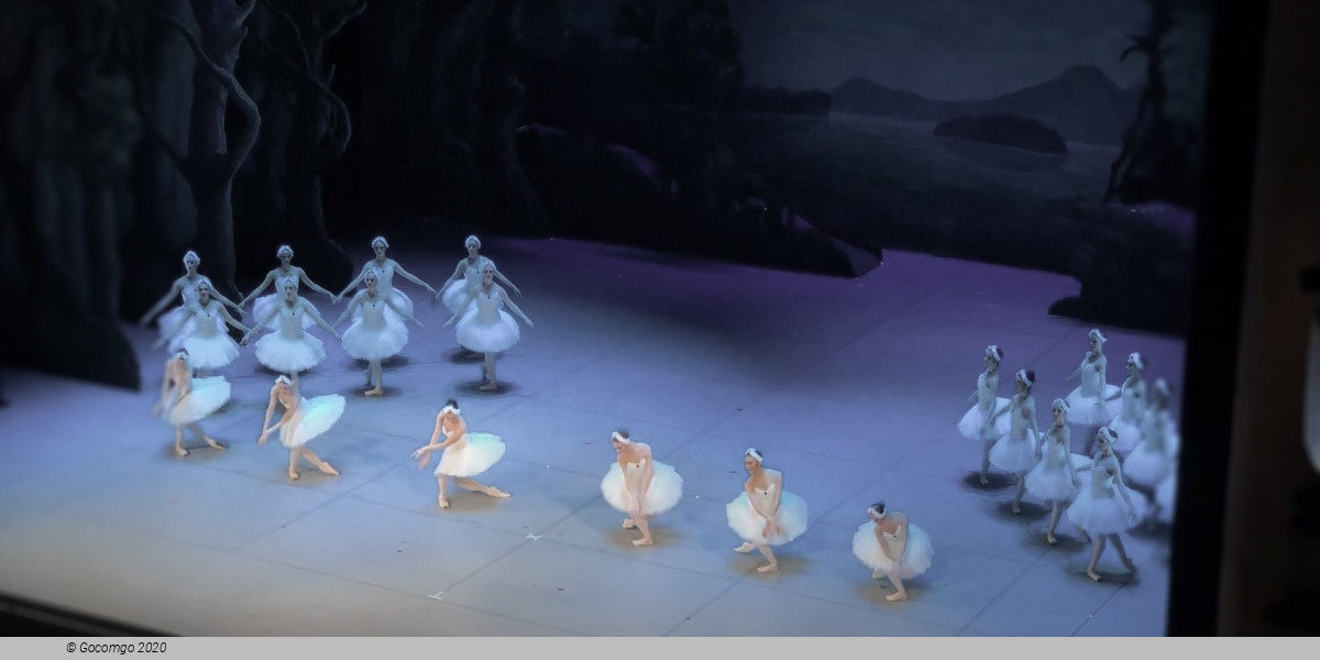 Swan Lake, photo 7
