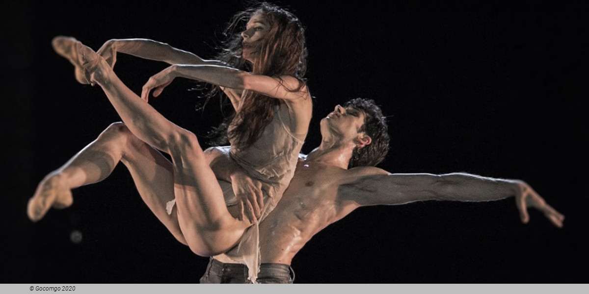 Roberto Bolle and Friends