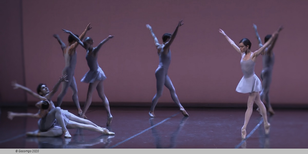 Scene 5 from the modern ballet "Third Symphony of Gustav Mahler", photo 6