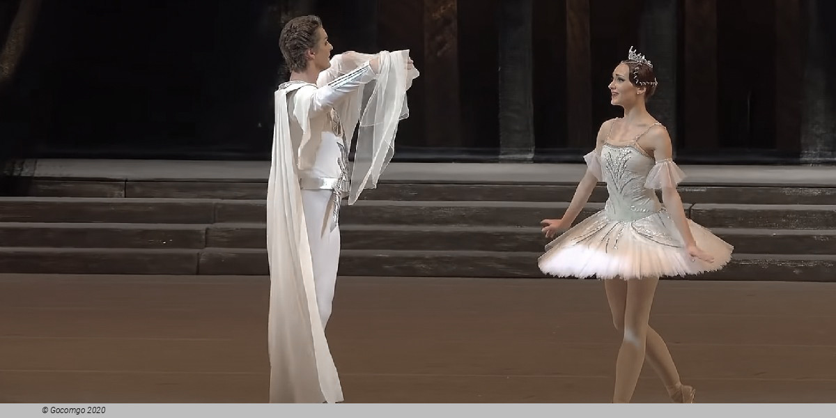 Scene 3 from the ballet "Raymonda", photo 4