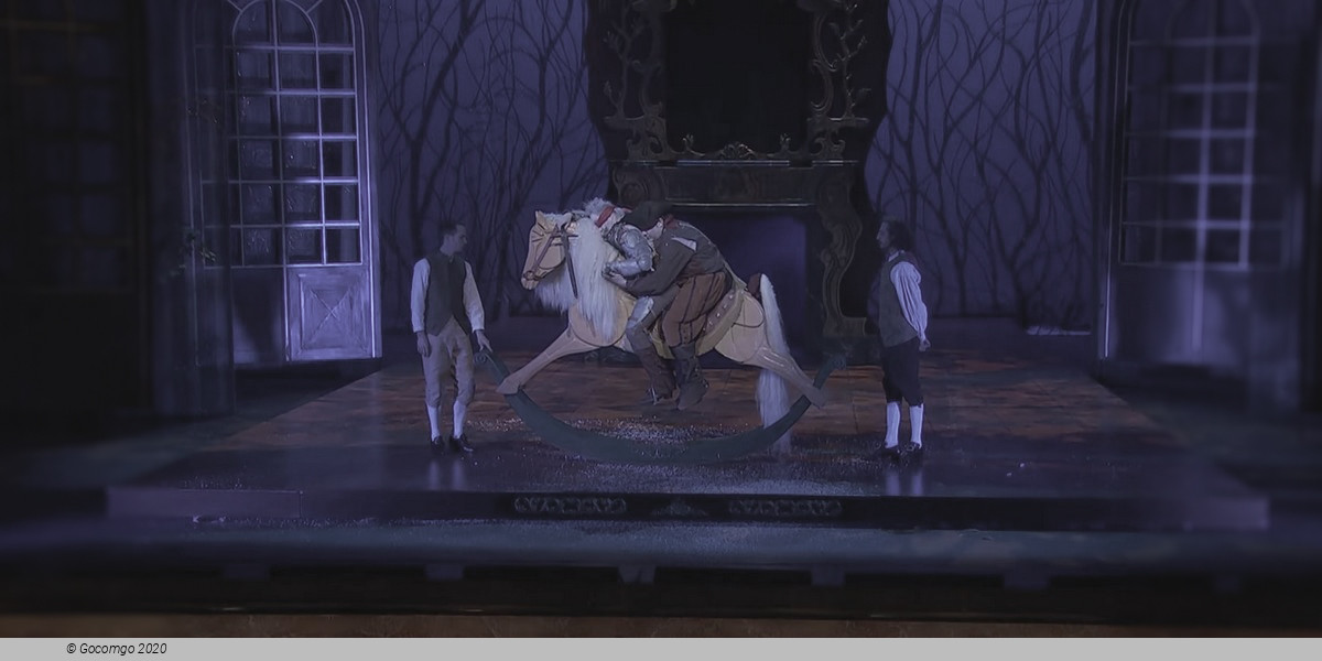 Don Quichotte chez la Duchesse, photo 10