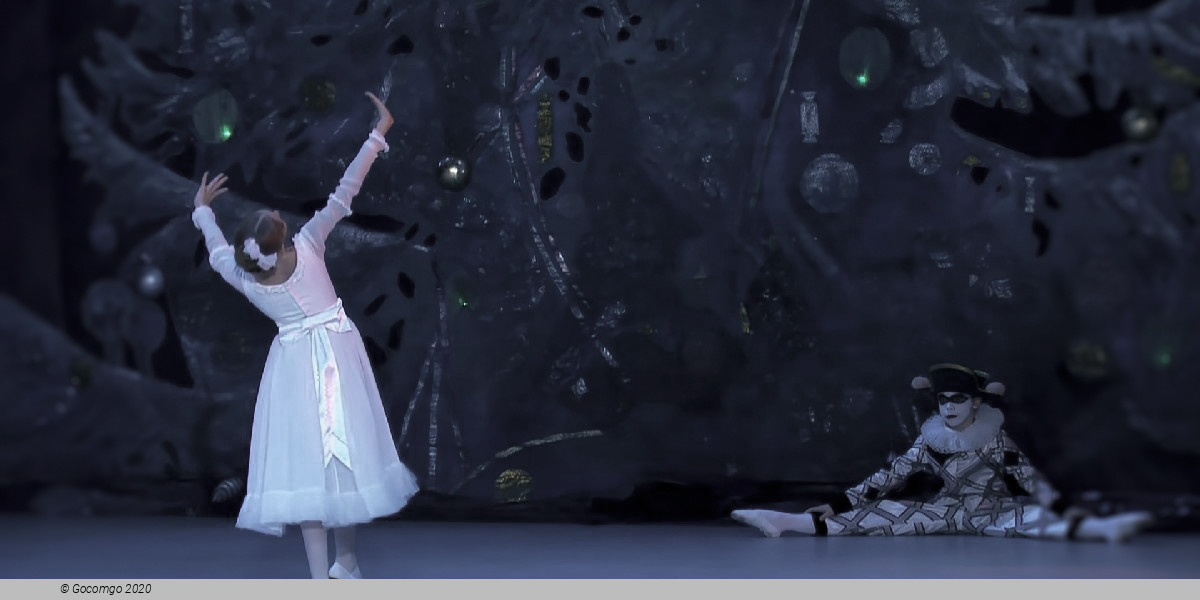 Scene 4 from the ballet "The Nutcracker", photo 2