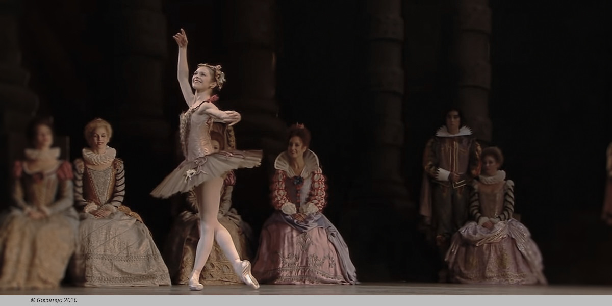 Scene 6 from the ballet "The Sleeping Beauty"