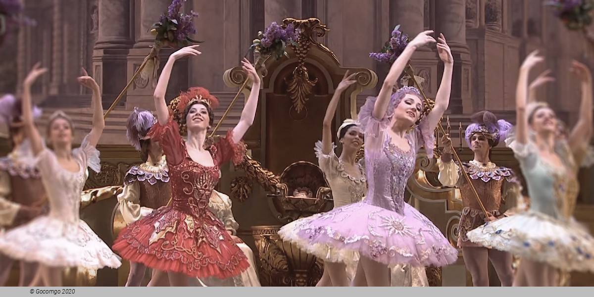 Scene 5 from the ballet "The Sleeping Beauty"