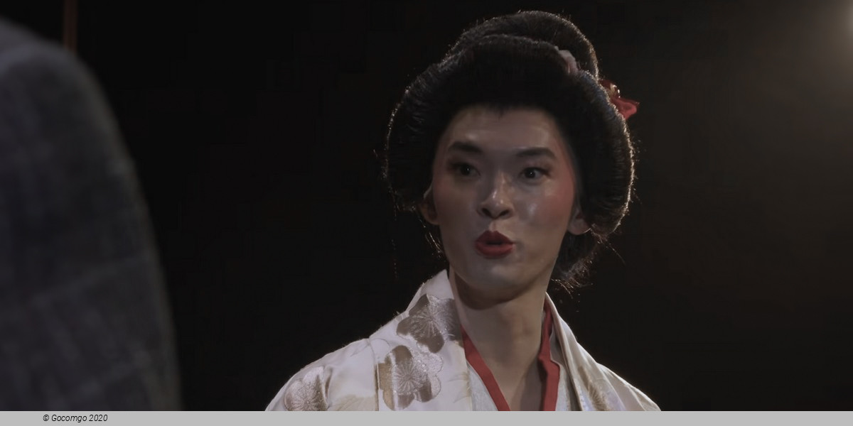M. Butterfly (Huang Ruo), photo 7