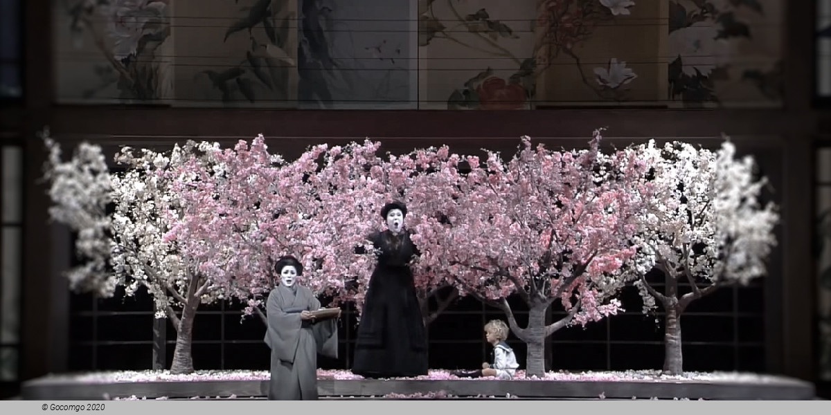 Madama Butterfly