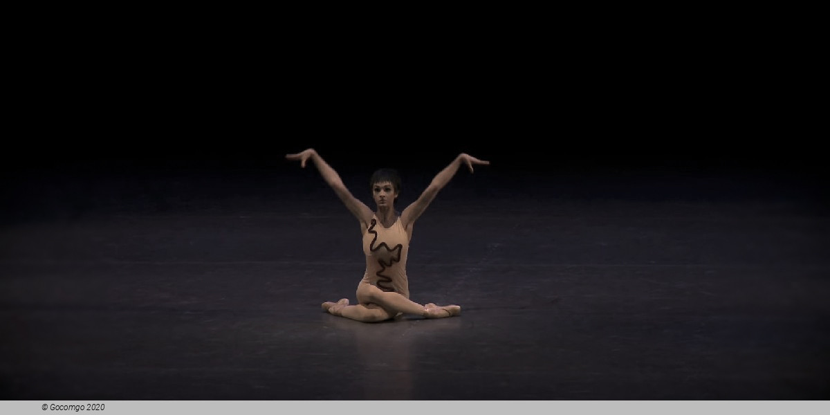 Scene 1 from the modern ballet "The Cage", photo 5