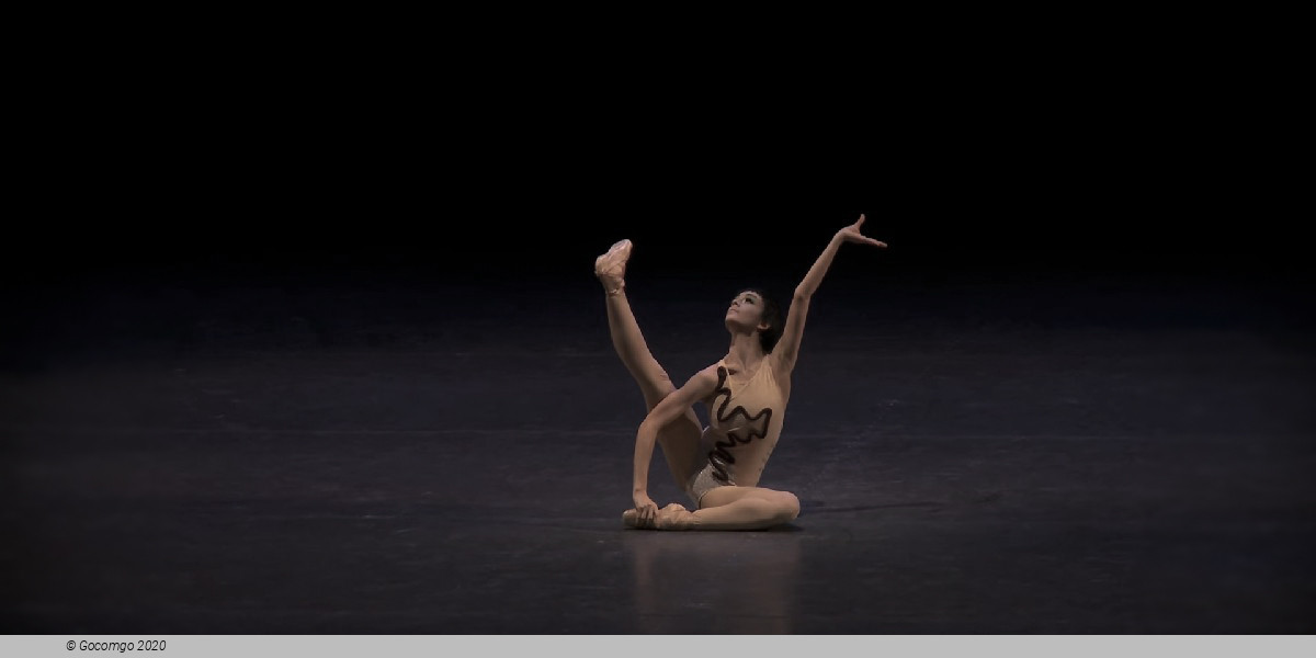 Scene 2 from the modern ballet "The Cage", photo 6