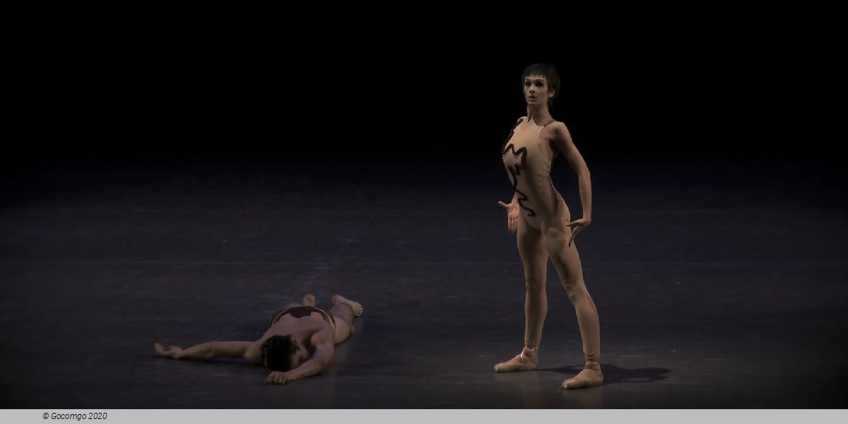 Scene 4 from the modern ballet "The Cage", photo 4