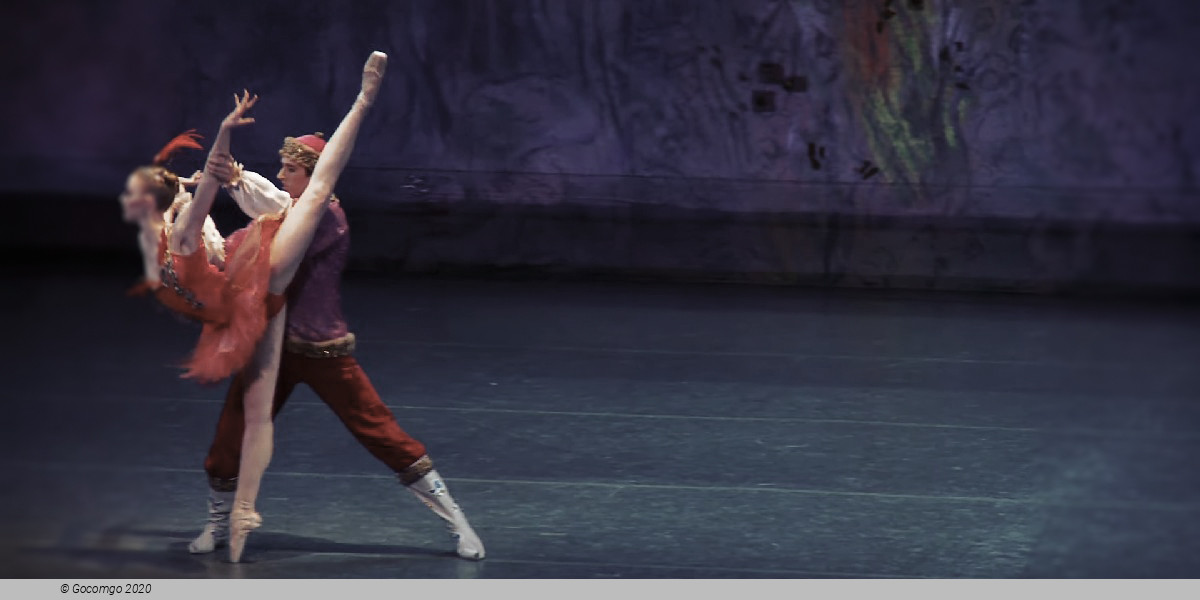 Scene 1 from the ballet "The Firebird"