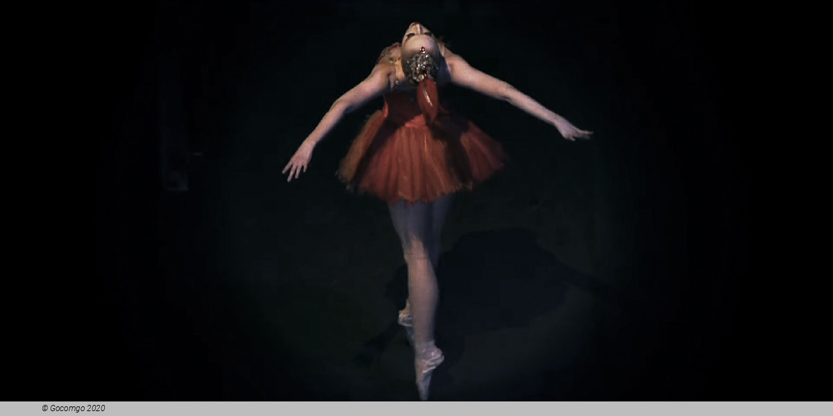 Scene 6 from the ballet "The Firebird"