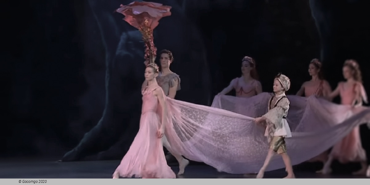 Scene 3 from the ballet "A Midsummer Night's Dream"