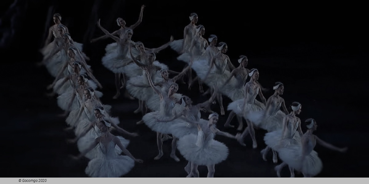 Scene 5 from the ballet "Swan Lake"