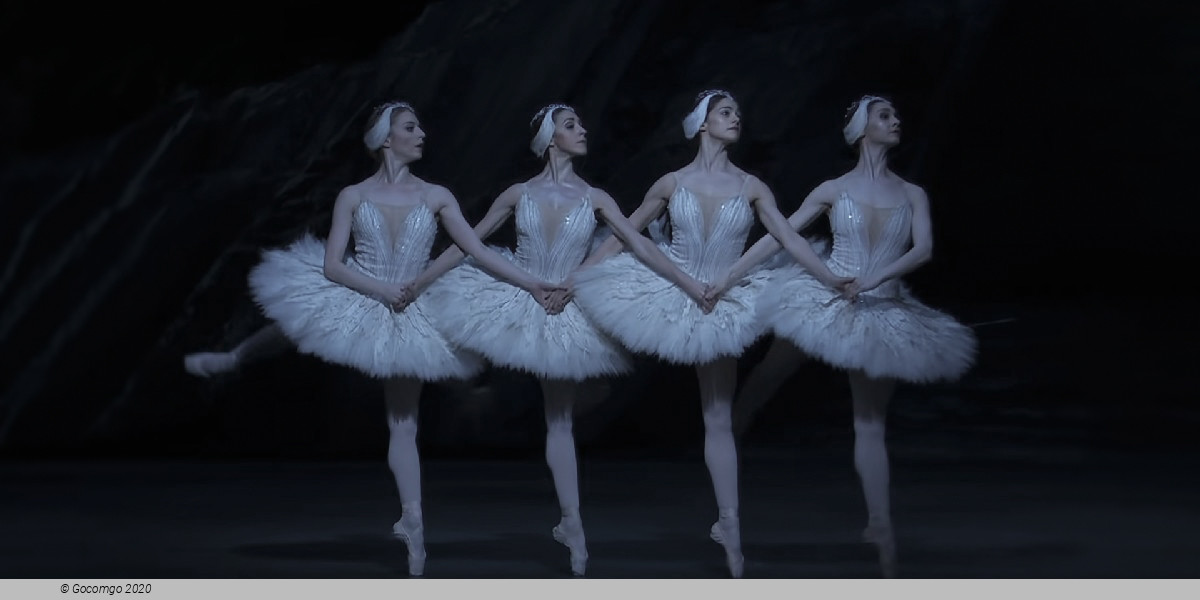 Scene 6 from the ballet "Swan Lake", photo 14